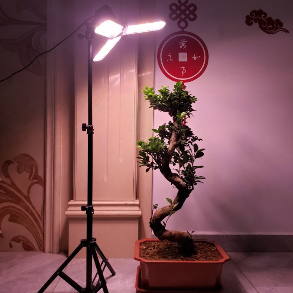 Light Bulb Stand 2M, E27 AC So - Photography Lighting Mount 评论和价格