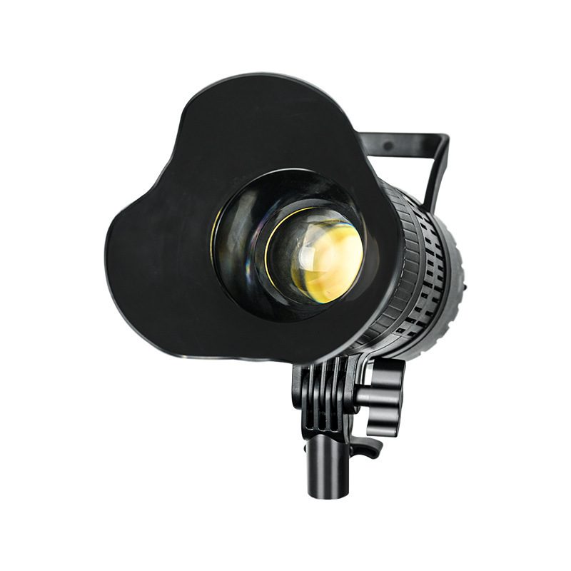Spotlight LED 220V Studio Vide - Portrait Photography With Lighting 评论和价格