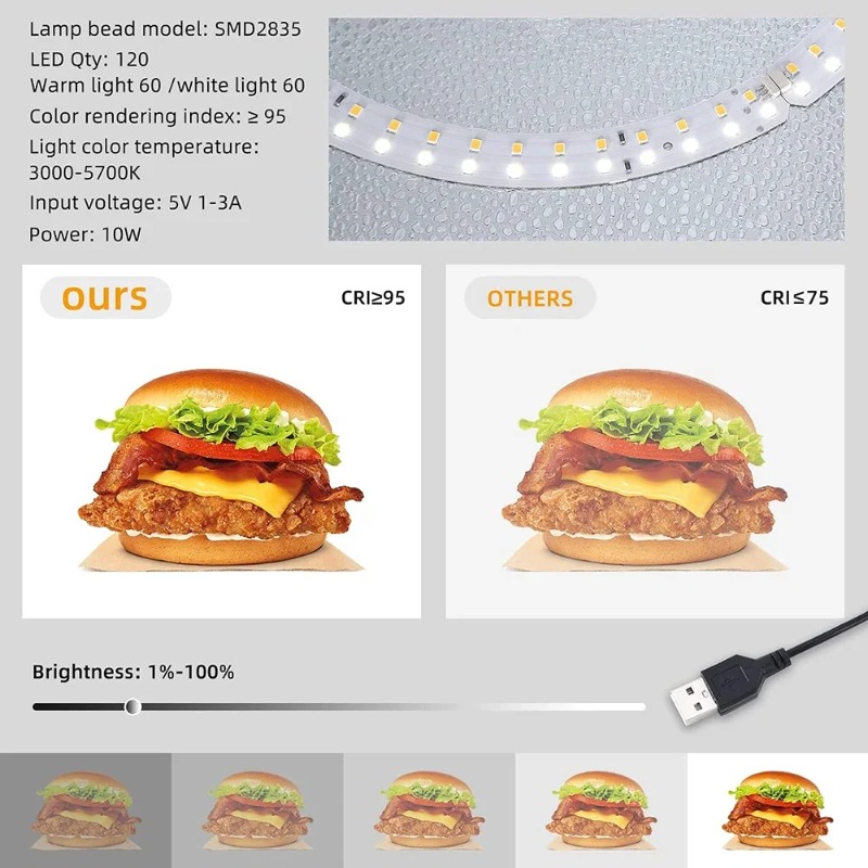 Lightdow Photo Studio Light Bo - Photography Lighting And Backdrop Kits 评论和价格