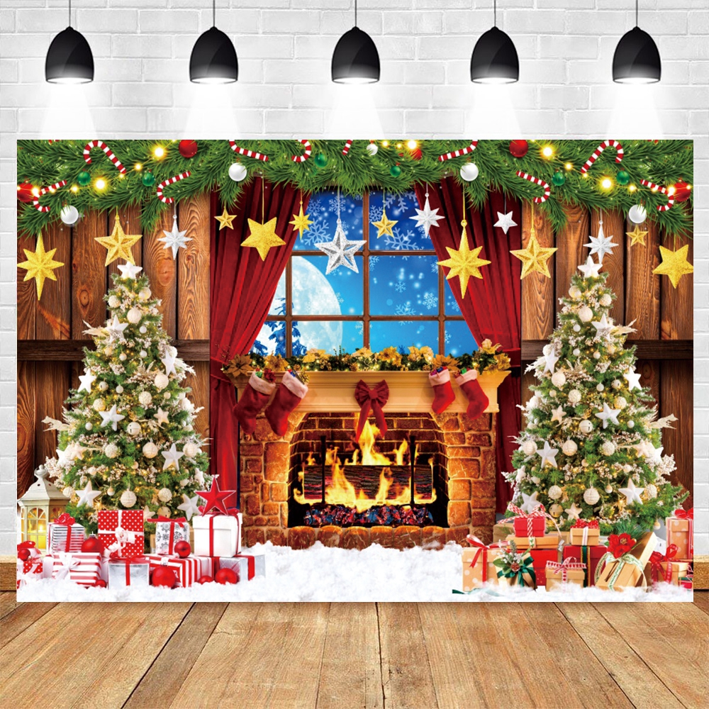 Winter Christmas Photography B - Photography Lighting And Backdrop 评论和价格