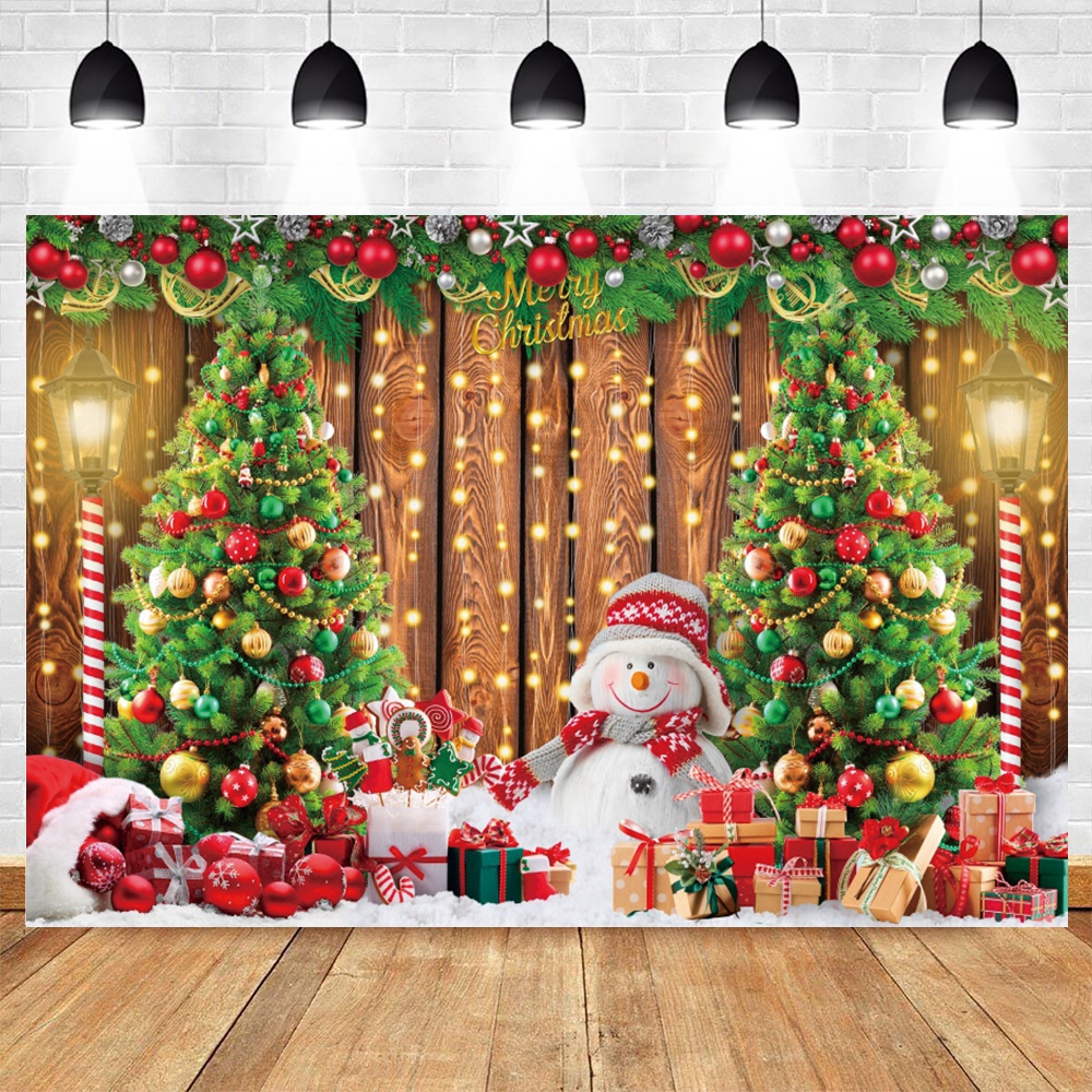 Winter Christmas Photography B - Photography Lighting And Backdrop 评论和价格