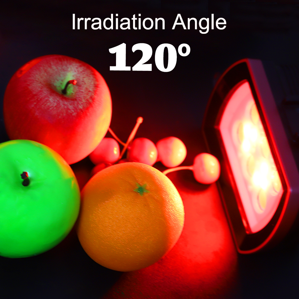 Seafrogs 40Meter Waterproof LE - Photography Lighting Brands 评论和价格