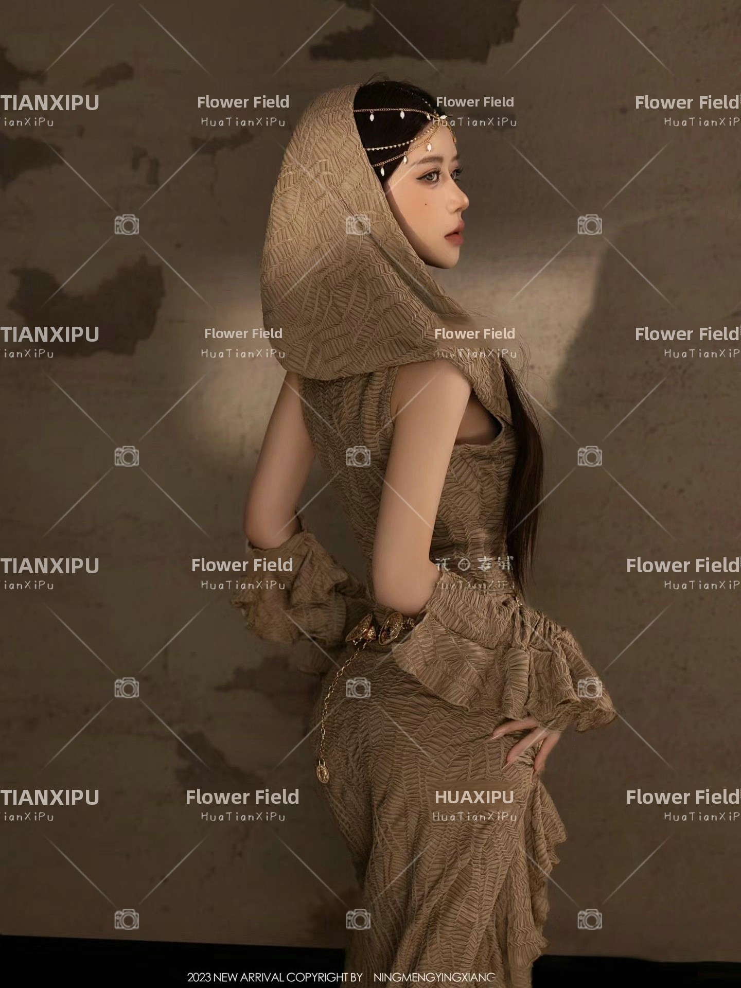 New Desert  Princess Style Pho - Photography Lighting For Clothing 评论和价格