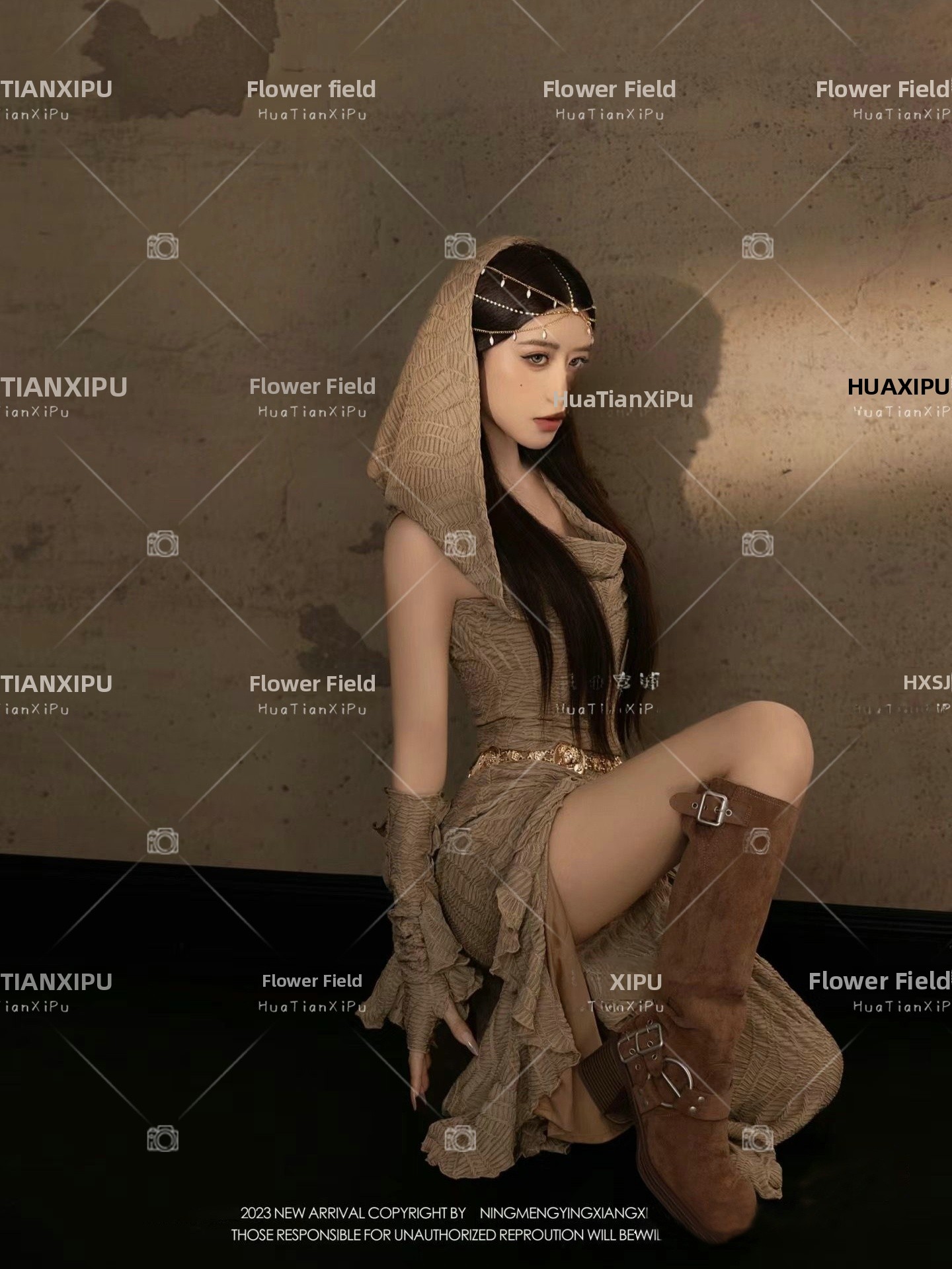 New Desert  Princess Style Pho - Photography Lighting For Clothing 评论和价格