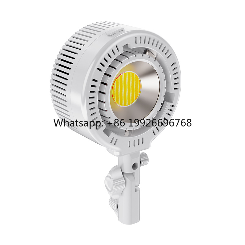 R200 Dual-Color COB LED Light  - Photography Lighting For Clothing 评论和价格