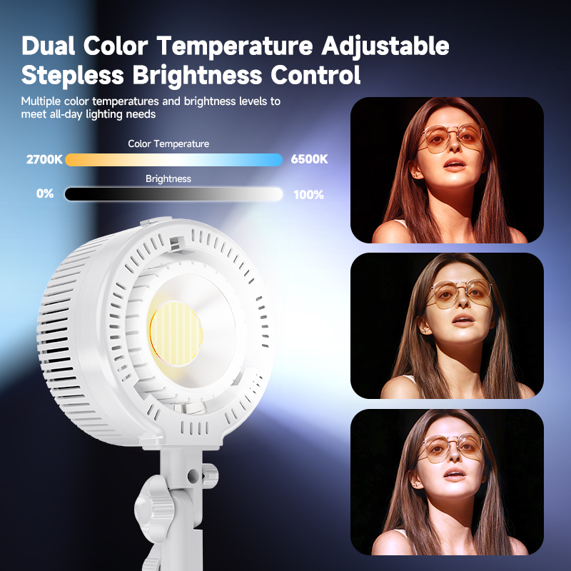 R200 Dual-Color COB LED Light  - Photography Lighting For Clothing 评论和价格