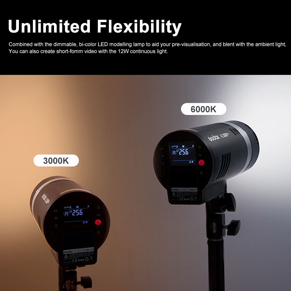 Godox AD300Pro Outdoor Flash L - Photography Lighting Kit Godox 评论和价格