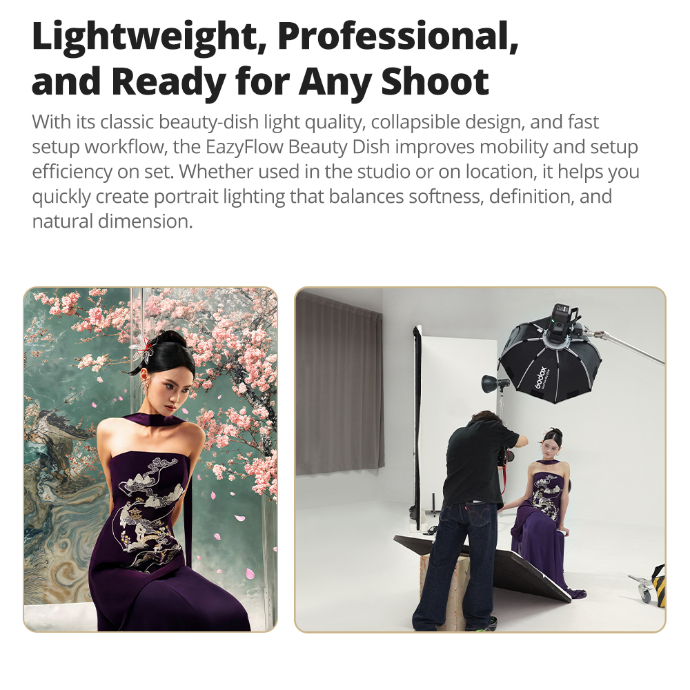 New Godox EazyFlow Beauty Dish - Photography Lighting Mount 评论和价格