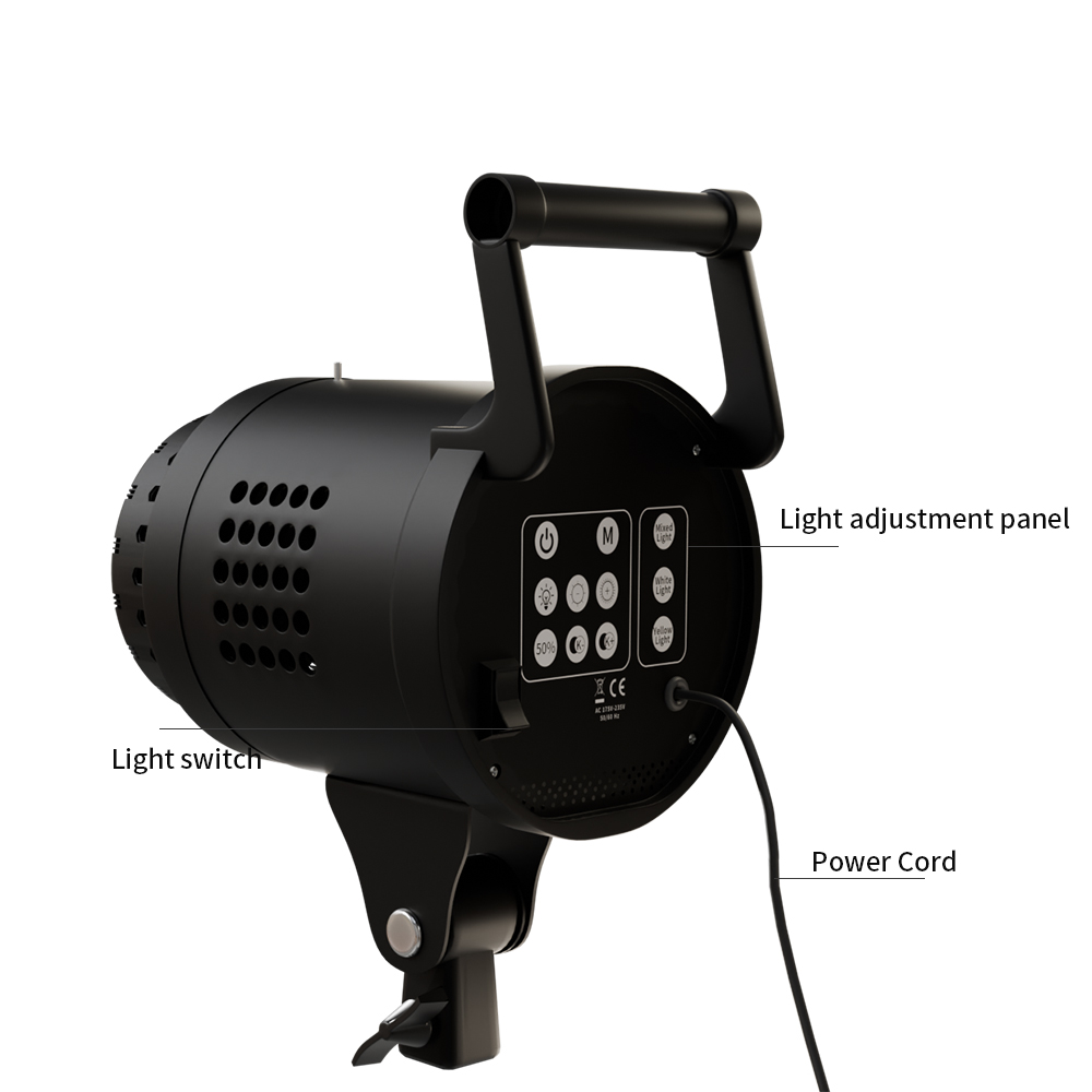 115/135W Photography Bowens Li - Portrait Photography With Lighting 评论和价格